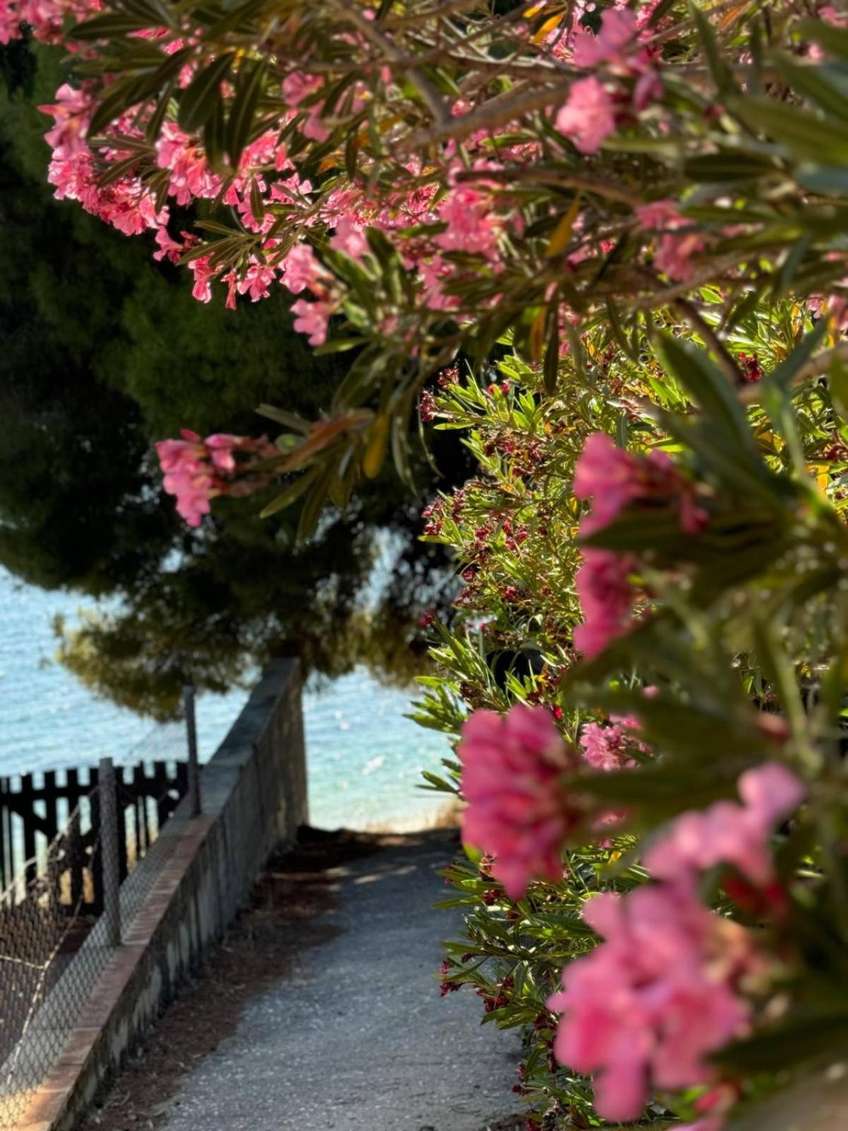 Villa Stadi Nikiti  Buitenkant foto