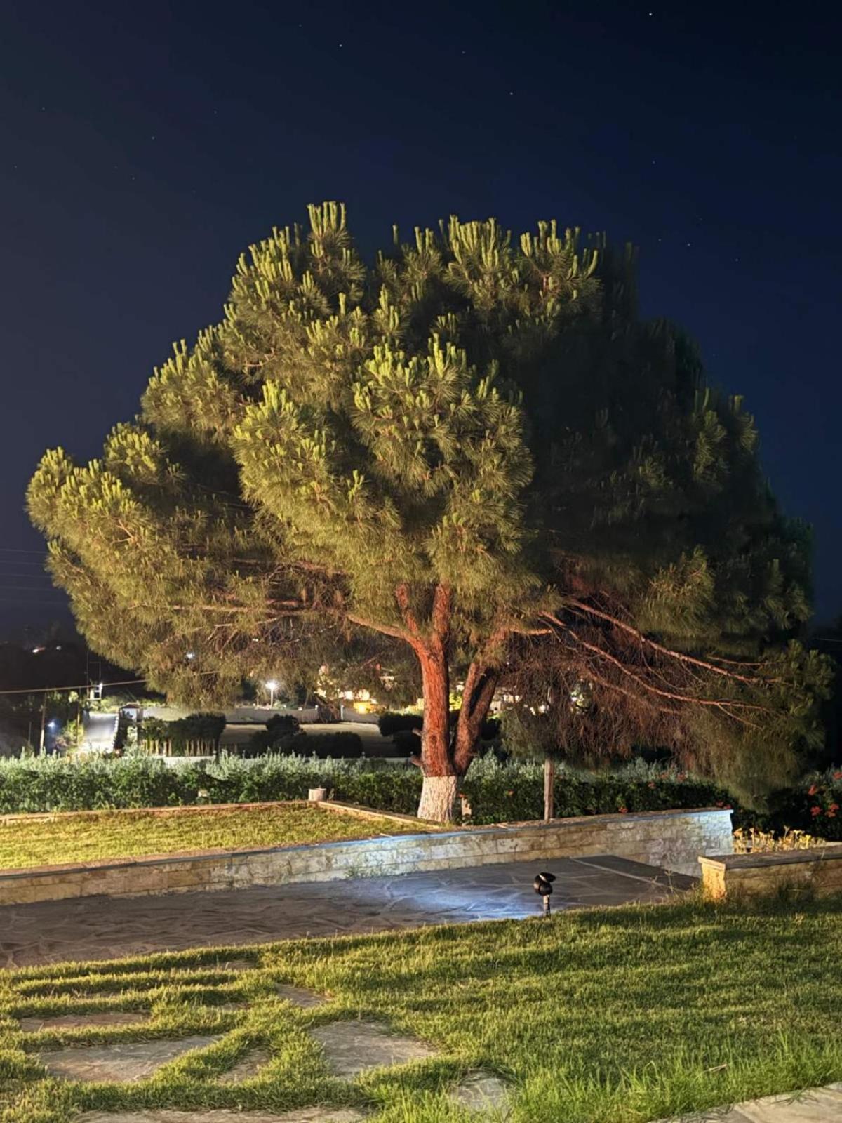 Villa Stadi Nikiti  Buitenkant foto